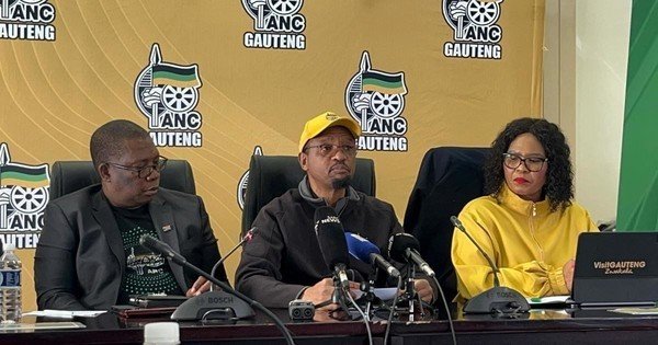 Part of ANC's renewal is to deal with people who join party for nefarious motives - Papo