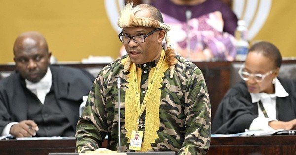 Political parties slam underfunding of SANDF, say this puts SA's security at risk