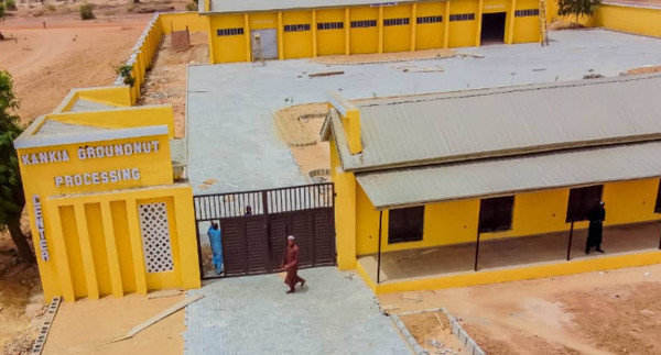 Katsina Govt Revives 33-Year-Old Kankia Groundnut Oil Mill