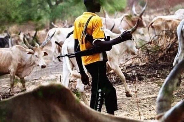 Mass burial in Taraba as herders slaughter scores