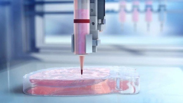 The Emerging Industry of 3D Printed Organs Will Become a Billion Dollar Industry in 10 Years