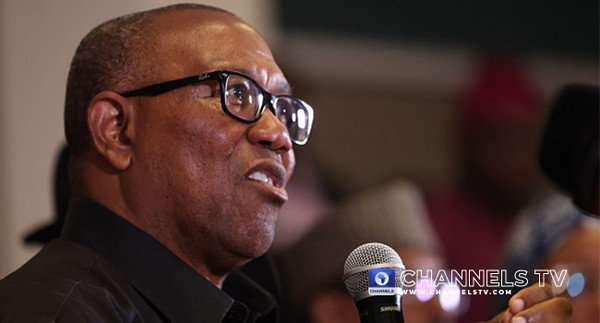 Nenadi-Usman-Led LP Endorses Peter Obi’s Participation In Coalition Talks