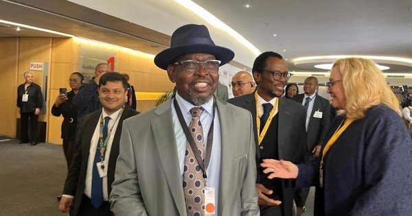 EFF accuses finmin of 'undermining' Parly in court papers seeking to stop fuel levy hike