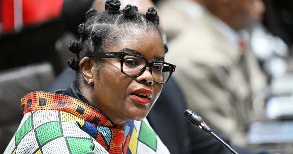 Nkabane defends decision to appoint politically connected people to chair SETA boards