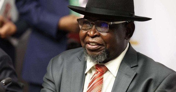 GNU parties come in defence of Godongwana after MK Party bays for his blood