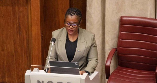 Majority of political parties in NCOP reject higher education dept's budget, call for Nkabane's axing