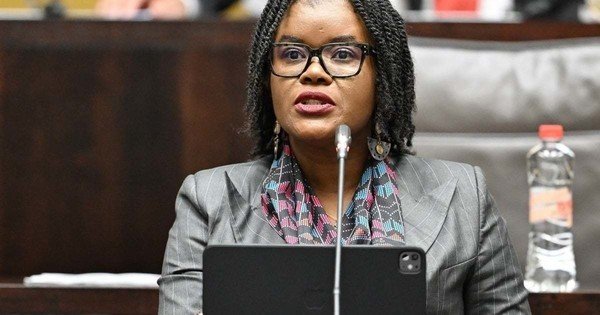 Some parties in National Assembly reject Nkabane's budget