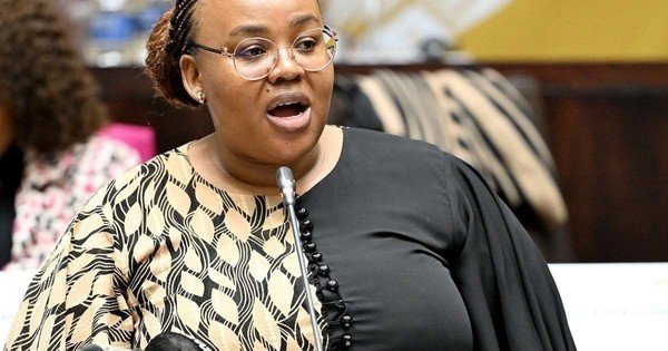 Parliament's correctional services committee concerned about rising costs of keeping remand detainees in prison