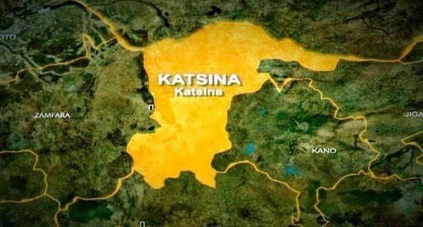 Katsina unveils free typhoid treatment to boost public health
