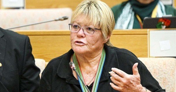 DA's Breytenbach says Mkhwanazi should have approached Parly instead of press briefing