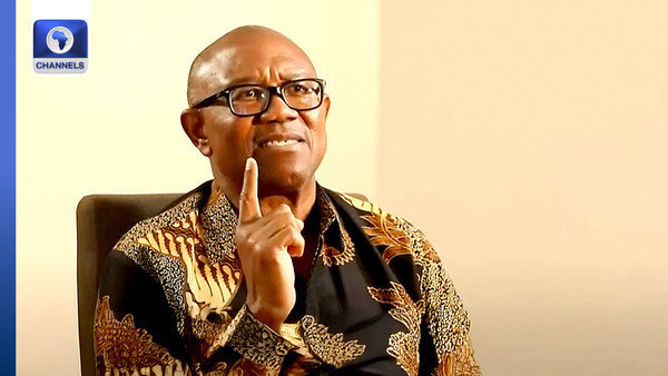 The North Accepts Peter Obi, Understands His Single-Term Proposal – Ex-IPAC Chair