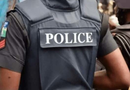 'Obi of Lagos' coronation, N1.5bn palace a scam – Police