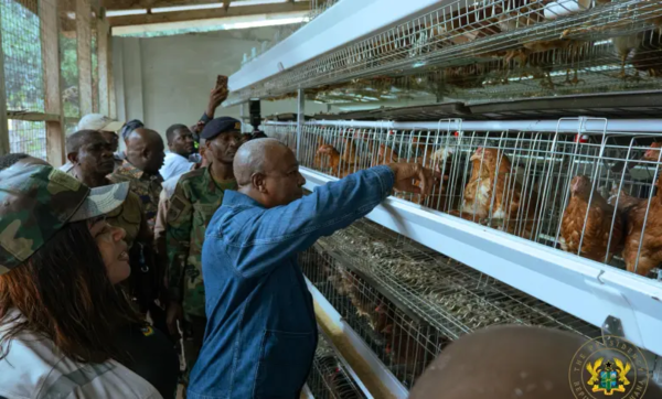 Nkokɔ Nkitinkiti project: 'We’re going to build processing p...