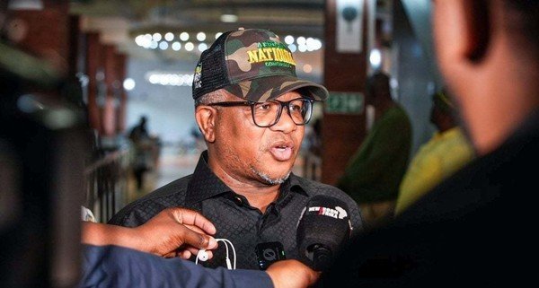 Fikile Mbalula: ANC electoral decline is due to voter abstention, not defection