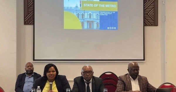 NMB's Lobishe disagrees with MPs that businesses disinvesting in Gqeberha because it is poorly run