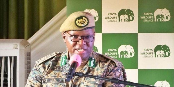 Senate Issues Ultimatum to KWS Over Park Entry Fee Hike