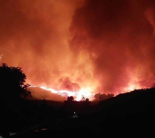 Cederberg fire destroys 24 000 hectares