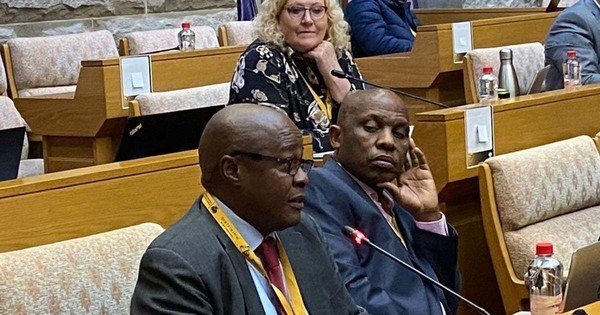 MK Party reshuffle: Molefe named Treasurer General, Makhubele removed as Chief Whip