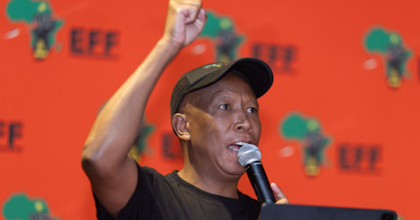 Malema calls for electoral reform:  'Civil duty' to register and vote