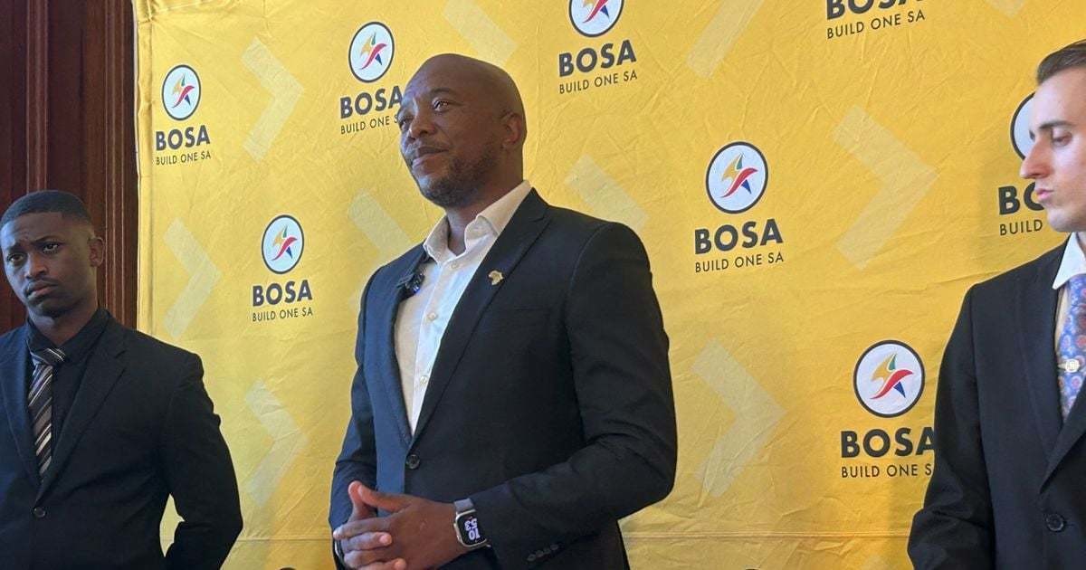 Maimane calls for Police Minister's firing ahead of SONA