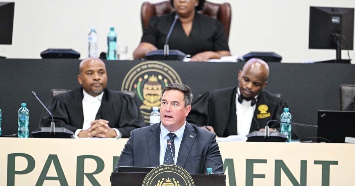 Steenhuisen announces massive vaccine shipment in fight against foot-and-mouth disease