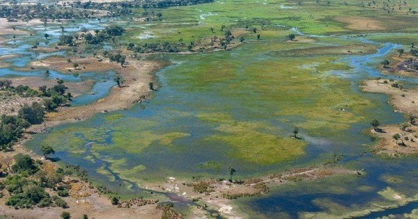 Scientists may have finally pinpointed humanity's ancestral hometown 