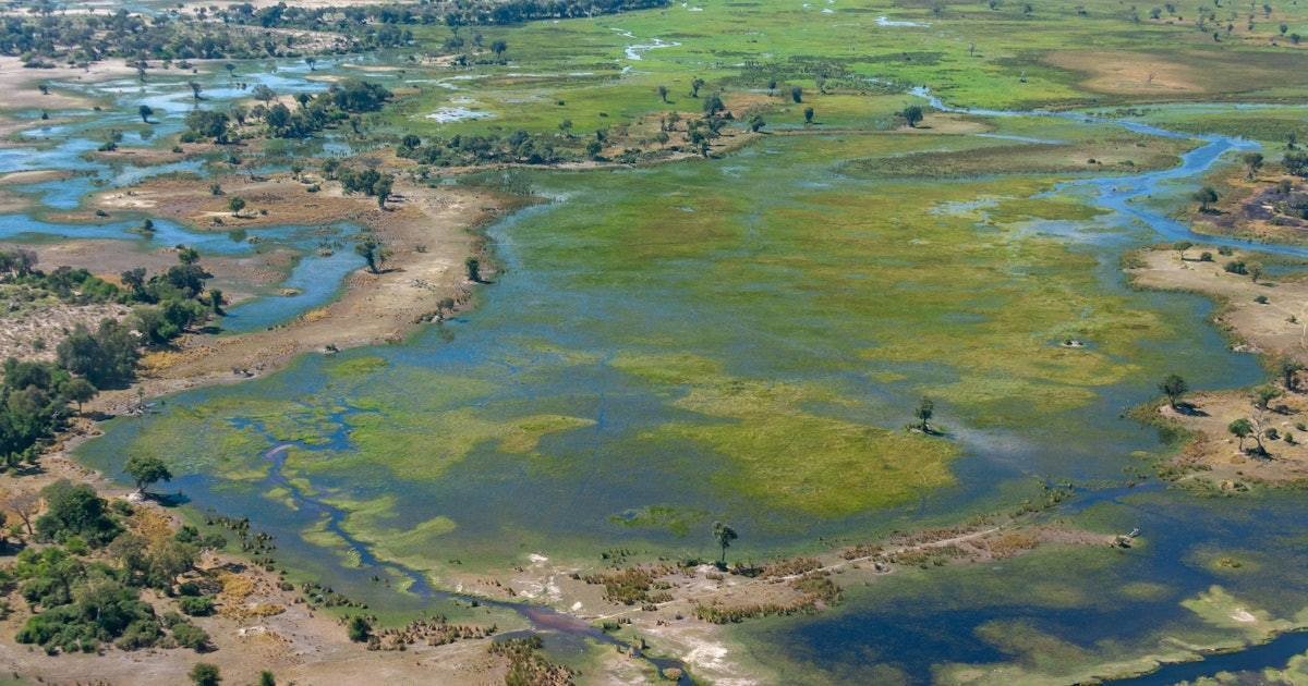 Scientists may have finally pinpointed humanity's ancestral hometown 