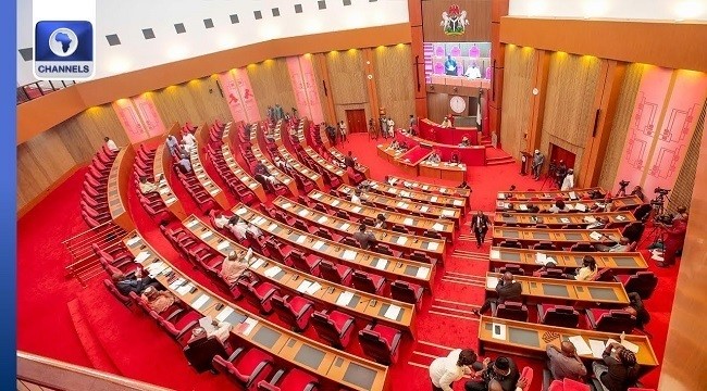 Senate Restricts Its Presidency To Returning 10th Assembly Members