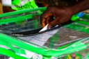 Senate Passes Electoral Act Amendments To Speed Up Pre-Election Cases