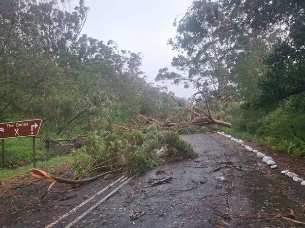 Govt declares national disaster as severe storms, floods and snow batter several provinces