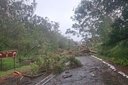 Govt declares national disaster as severe storms, floods and snow batter several provinces