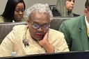 Political parties welcome axing of Social Development Minister Sisisi Tolashe