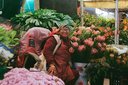 Cape Town flower market seeks heritage status to protect it from city trading plan