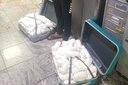 Khat’s out of the bag: Dutch ‘drug mule’ nabbed with 40kg contraband at OR Tambo