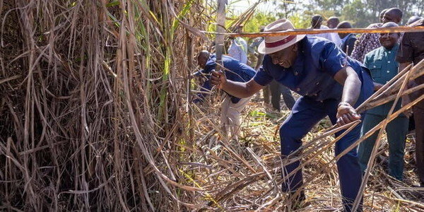 Inside Govt's Ksh100 Billion Plan to Support Farmers