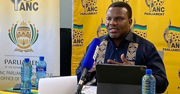 ANC backs impeachment committee as Ntuli rejects claims of feud with Mbalula