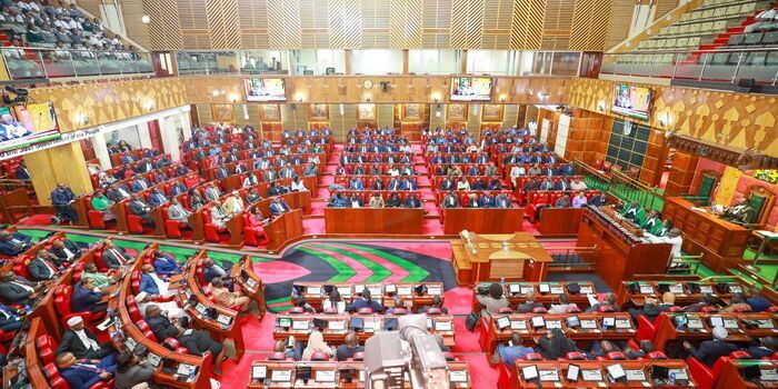 Police Launch Manhunt for MP After Ruto's Orders