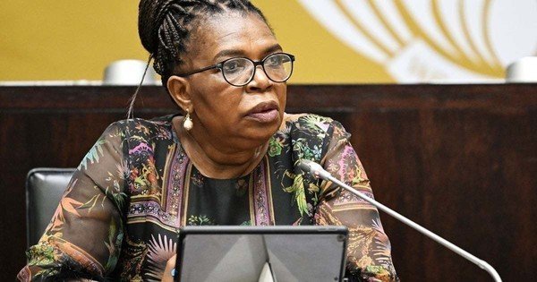 DA’s call for lifestyle audit on Dina Pule politically motivated, says analyst