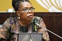 DA’s call for lifestyle audit on Dina Pule politically motivated, says analyst