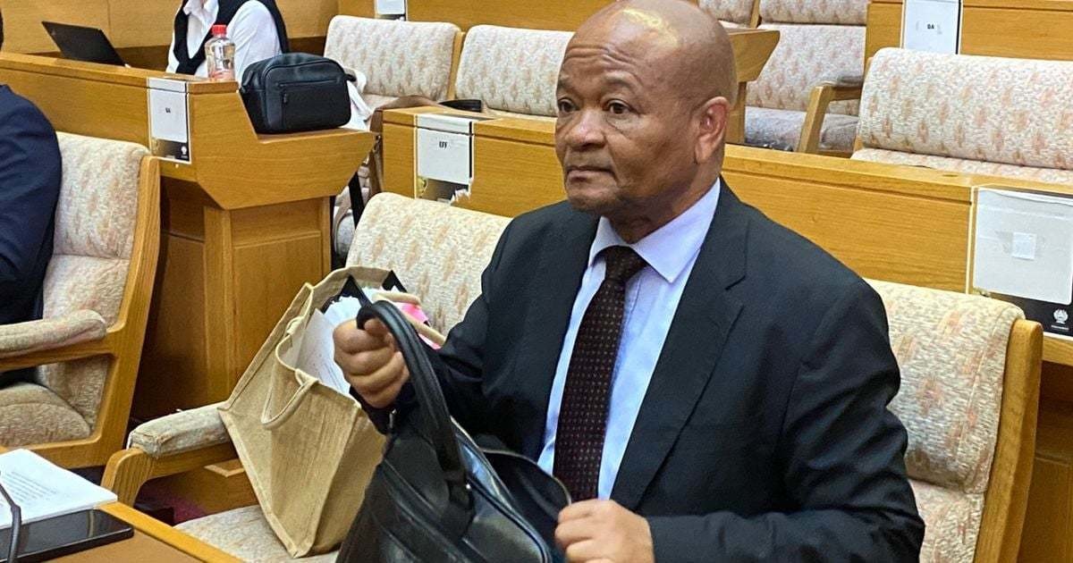 Mchunu cleared of criminal syndicate ties in draft PKTT report