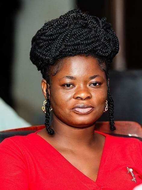 ICEDEG Africa Presents Recommendations to Finance Ministry A...