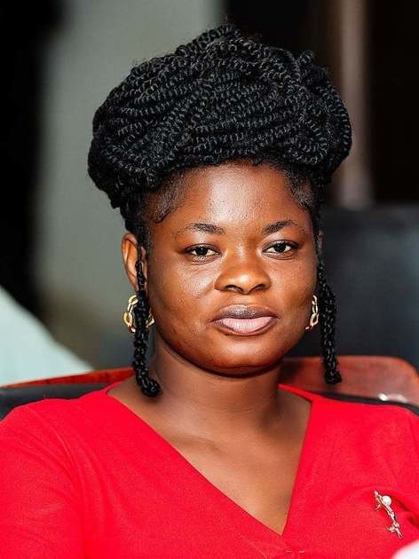 ICEDEG Africa Presents Recommendations to Finance Ministry A...