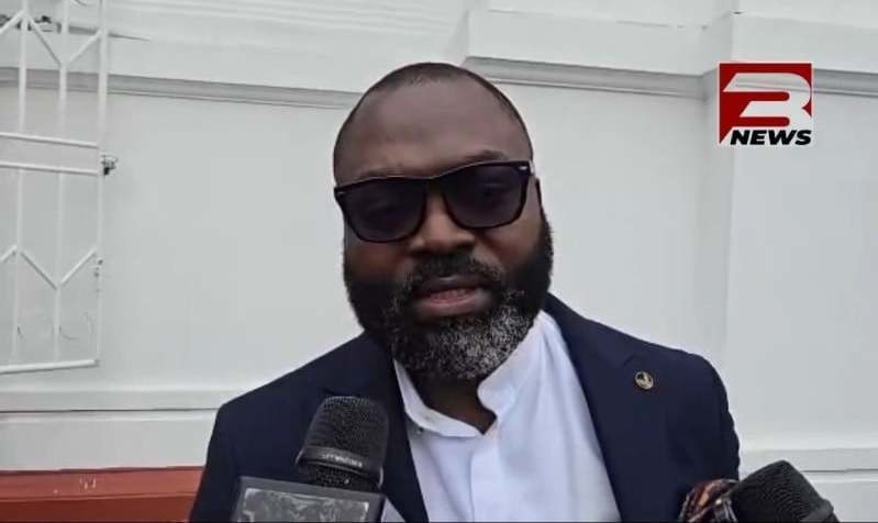 Sedina Tamakloe’s acquittal: 'Defence team happy with Court ...