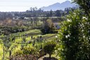 Stellenbosch residents oppose new luxury estate development
