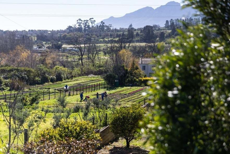 Stellenbosch residents oppose new luxury estate development
