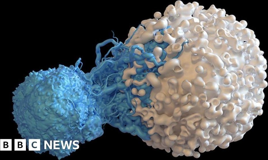 Immune discovery 'may treat all cancer'