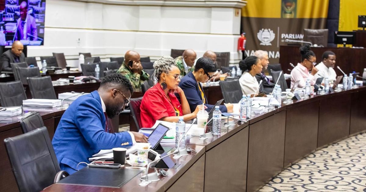 Mchunu PKTT disbandment: Ad hoc committee split over external influence claims