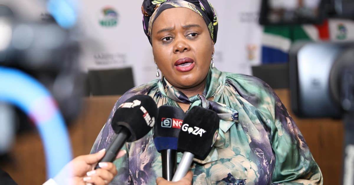 DA presses Kubayi to appoint IDAC acting head