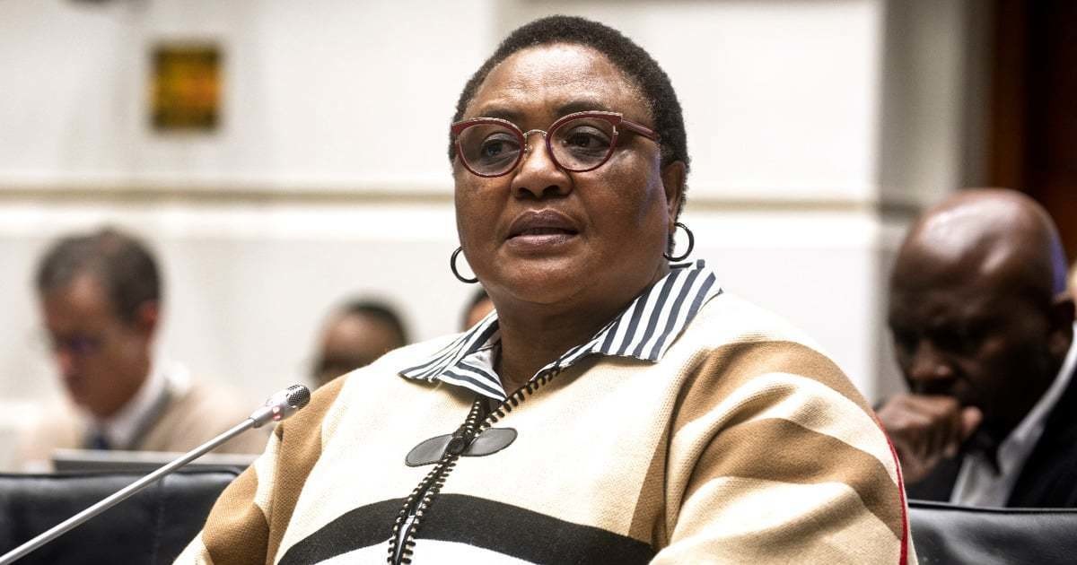 EFF says no-confidence vote in Didiza proceedings ‘embarrassing’ for Parliament