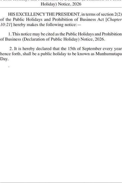 Zimbabwe has declared President Emmerson Mnangagwa’s birthday a public holiday in his honour